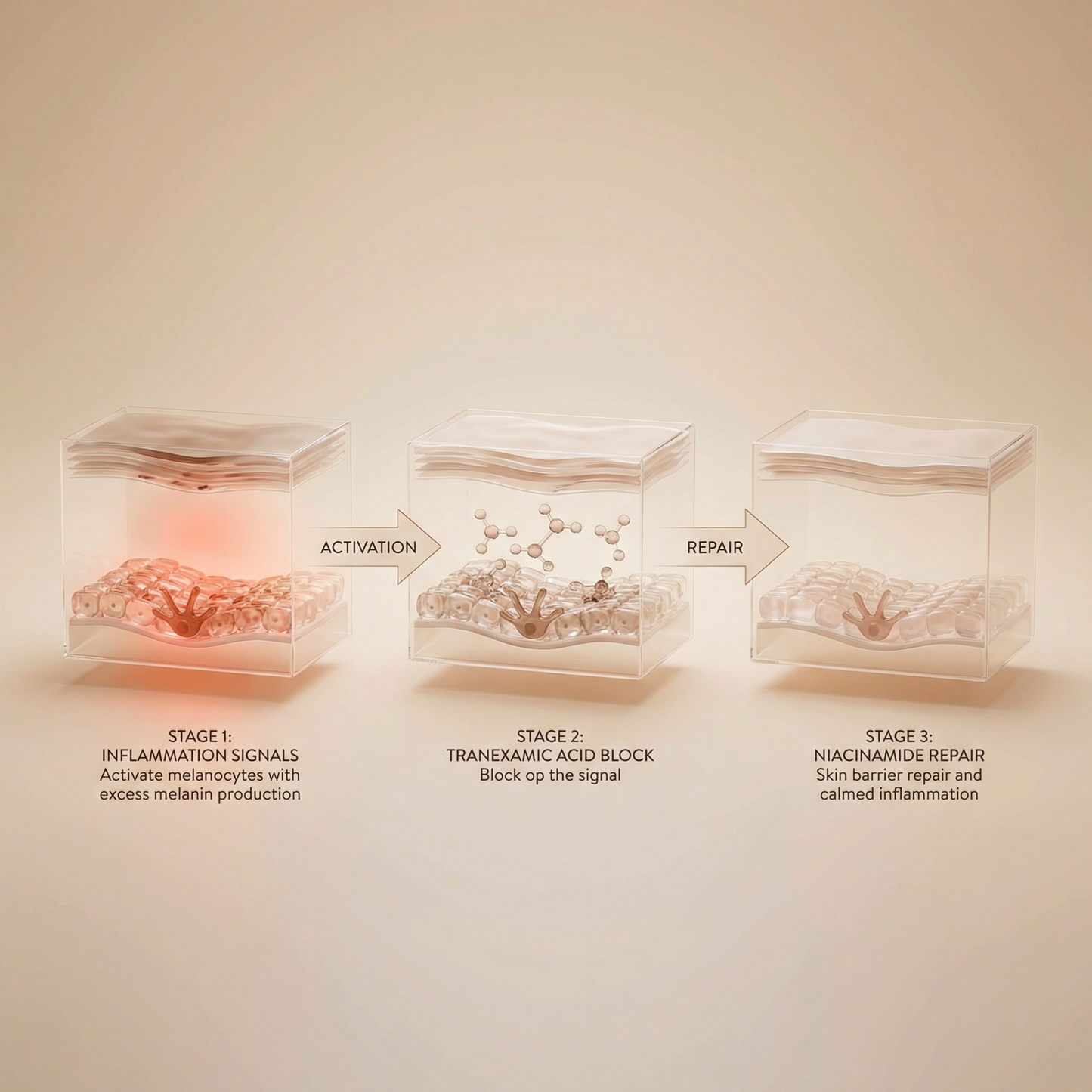 Aerora™ ReGlow Fade Cream