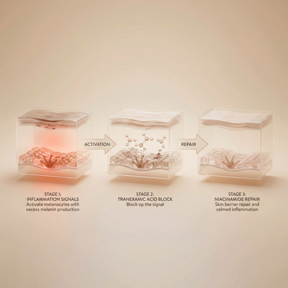 Aerora™ ReGlow Fade Cream